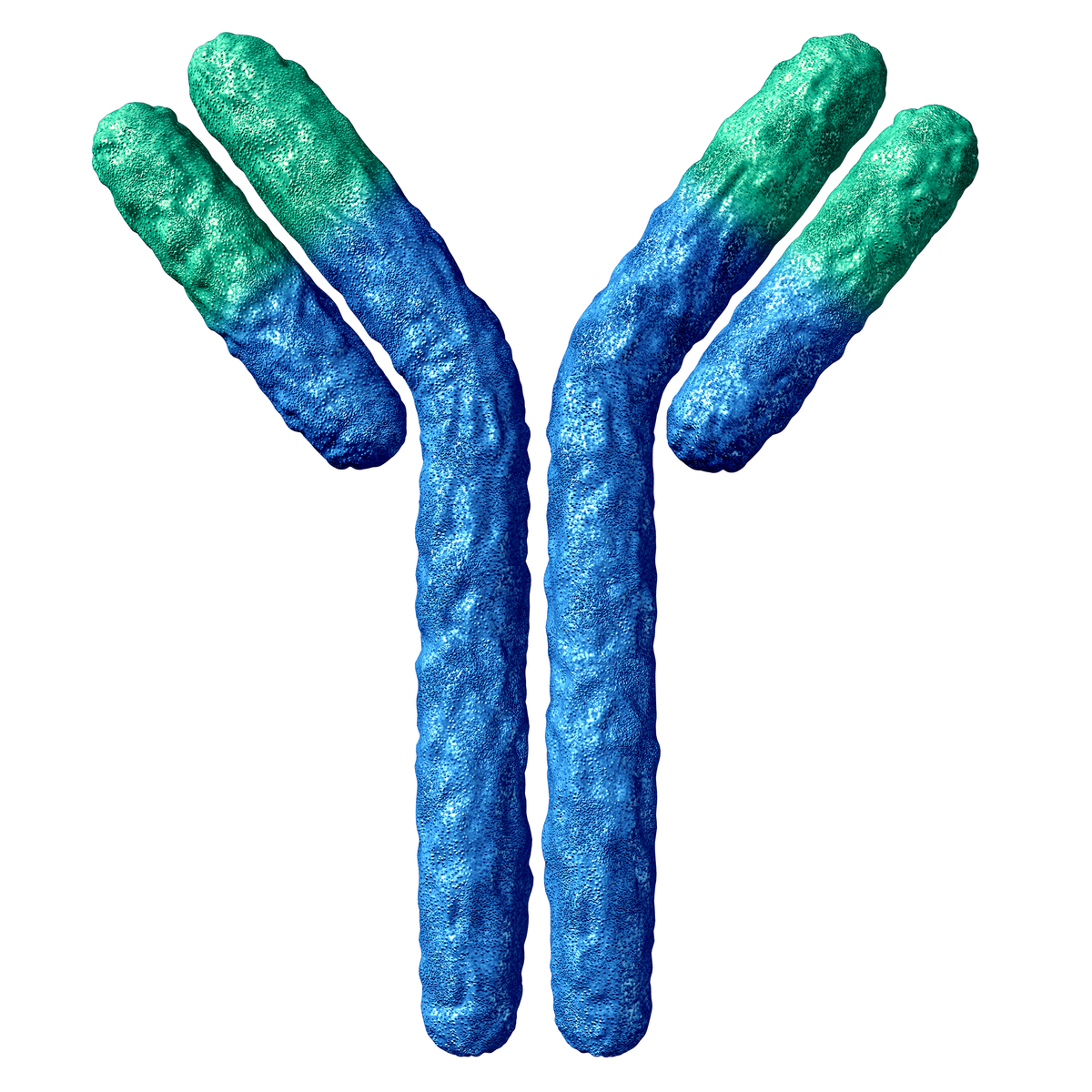 IgG4 Standards GlycoScientific igg4-standards-glycoscientific