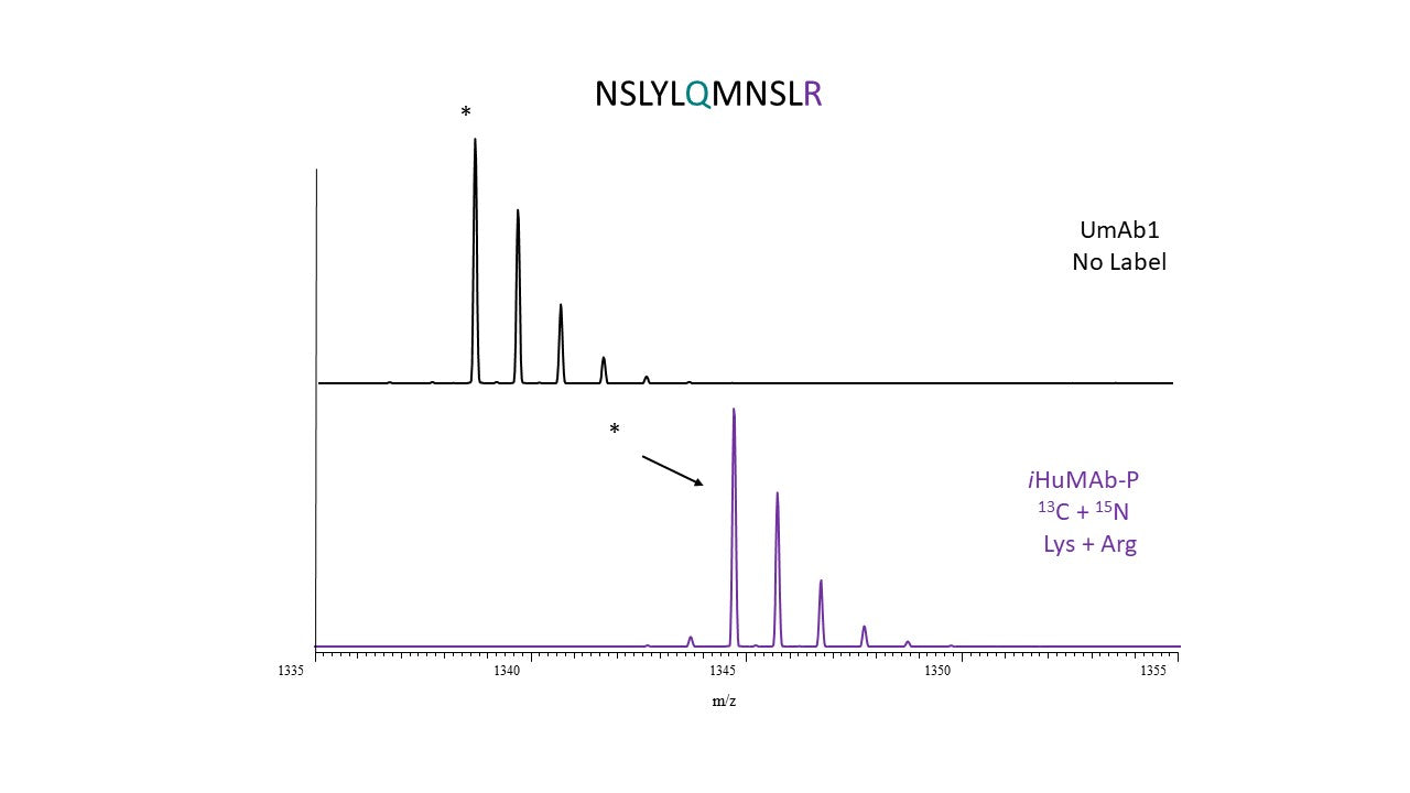 IgG1 - Amino Acid Heavy - UmAb1-P