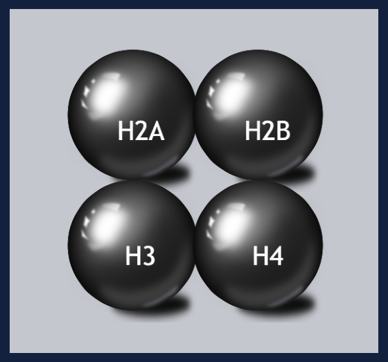 Histone Reagents