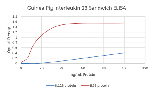 Guinea Pig IL23 ELISA set