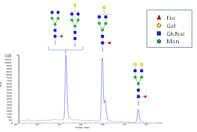 iGlycoMab Stable Isotope Labeled Glycan Standard