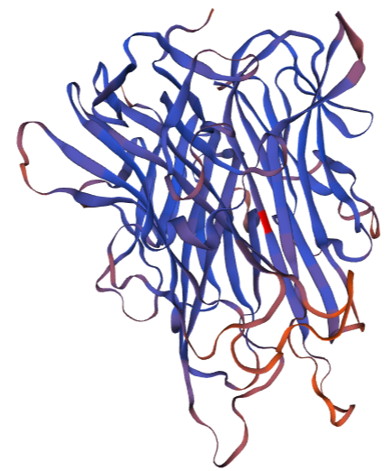 Golden Hamster Tumor Necrosis Factor Alpha Protein