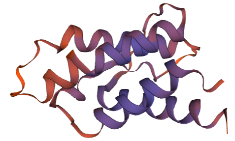 Guinea Pig Interleukin 4 Protein