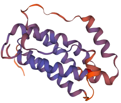 Guinea Pig Interleukin 6 Protein