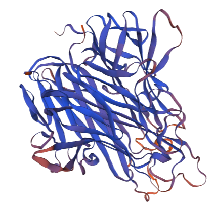 Guinea Pig Tumor Necrosis Factor Alpha Protein