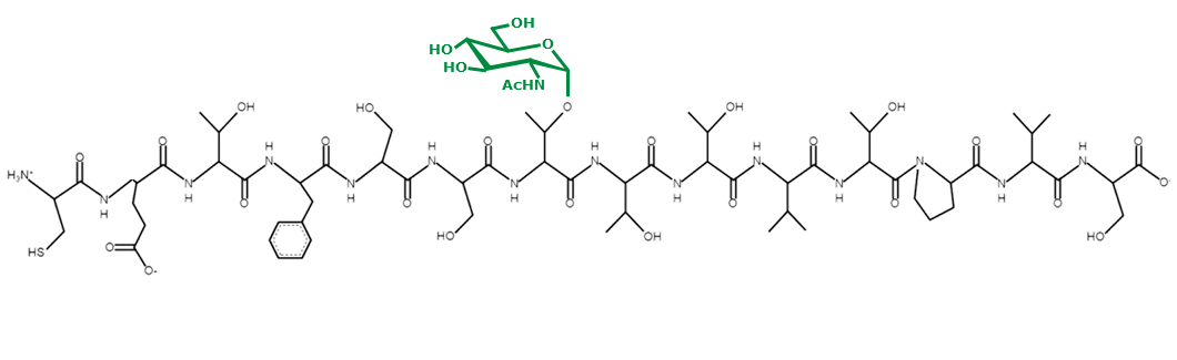 IRS2 (GlcNAc T1155) peptide