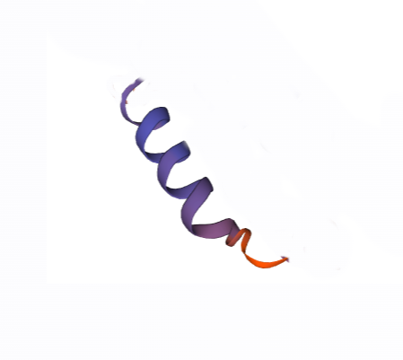 NR2B/ NMDA 2B (O-GlcNAc S1029) Peptide