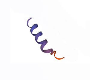 Histone H2A  (GlcNAc T101) Peptide
