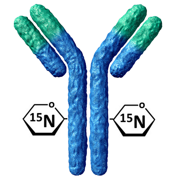 iGlycoMab Stable Isotope Labeled Glycan Standard